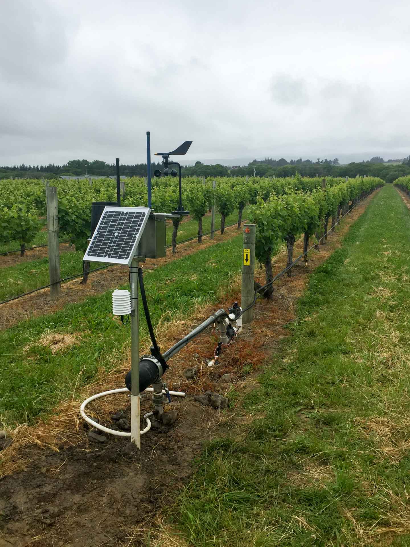HARVEST.com vineyard frost diagram 