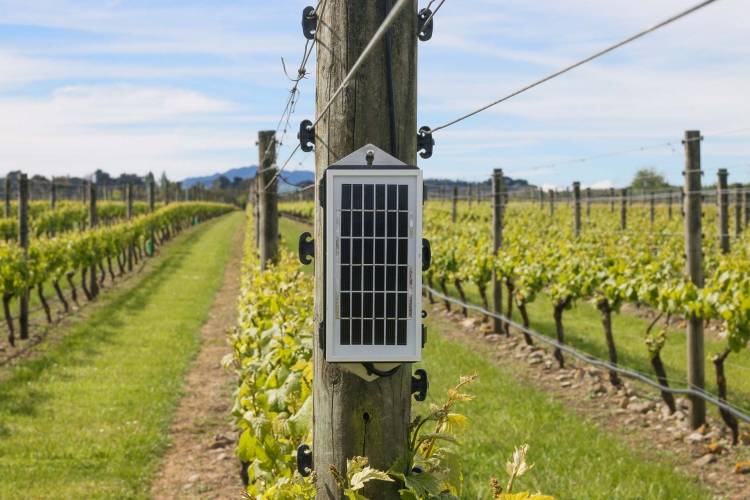 Frost Alarms