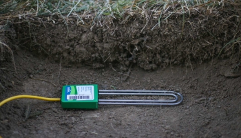 Acclima TDT Soil Moisture/Temperature