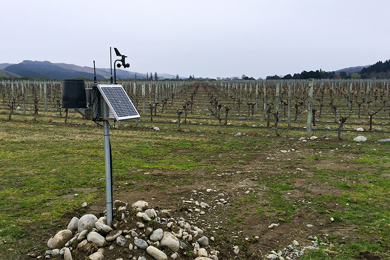 Harvest - Picture Gallery vineyard frost diagram 