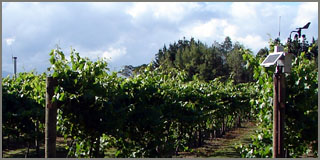 Harvest Weather Stations