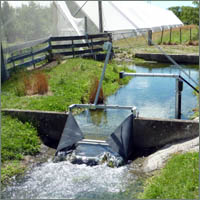 Weir Monitoring