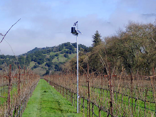 Harvest - Picture Gallery vineyard frost diagram 