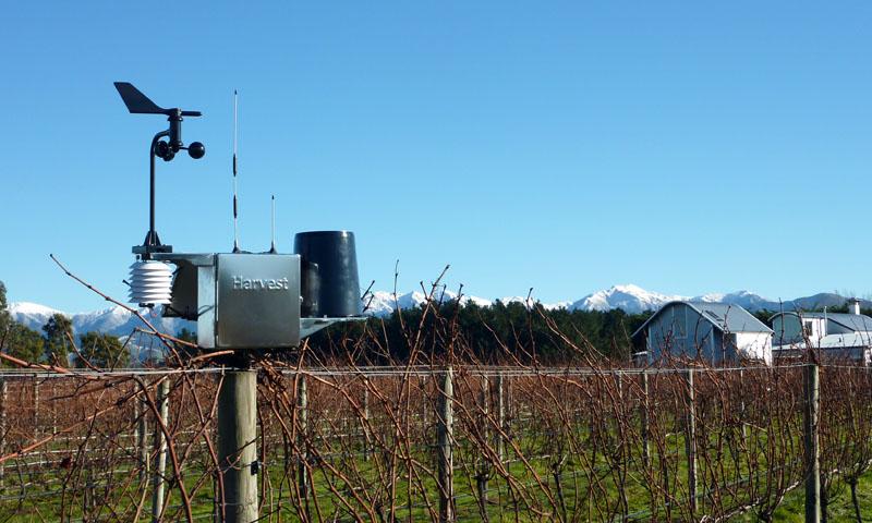 Harvest - Picture Gallery vineyard frost diagram 