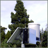 Rain Gauge Monitor