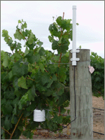 Wireless Temperature Sensor