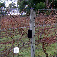 Wireless Temperature