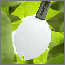 Leaf Wetness sensor