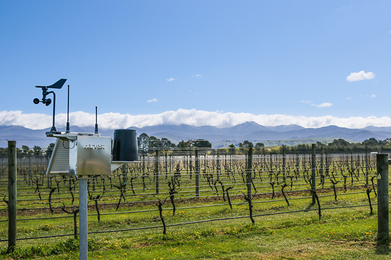 Harvest - Picture Gallery vineyard frost diagram 