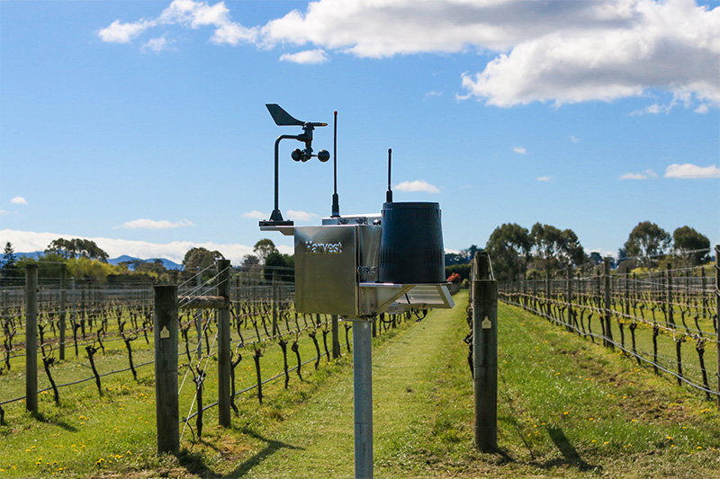 Harvest - Picture Gallery vineyard frost diagram 