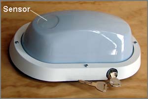 Portable Intruder Alarm - Bulkhead Light